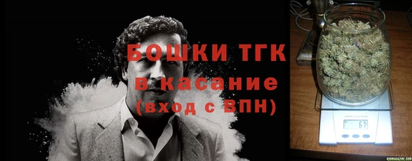 шишки Богородицк
