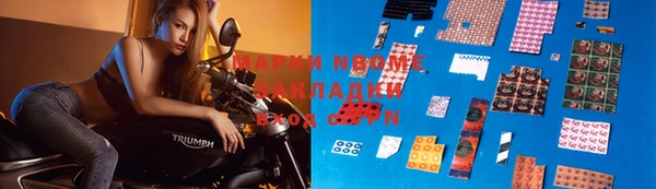 шишки Осинники