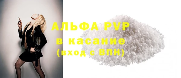 шишки Осинники