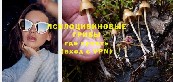а пвп мука Осташков