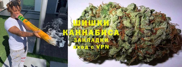 шишки Осинники