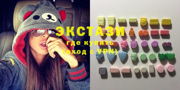 шишки Богородицк