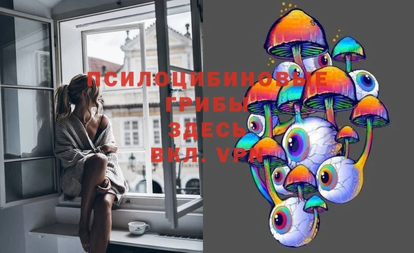 МДМА Богородск