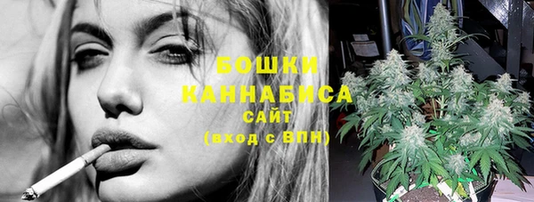 индика Богданович