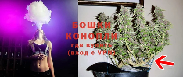 шишки Богородицк