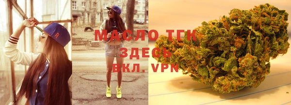 индика Богданович