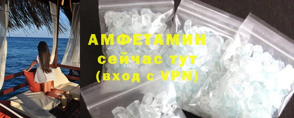 индика Богданович