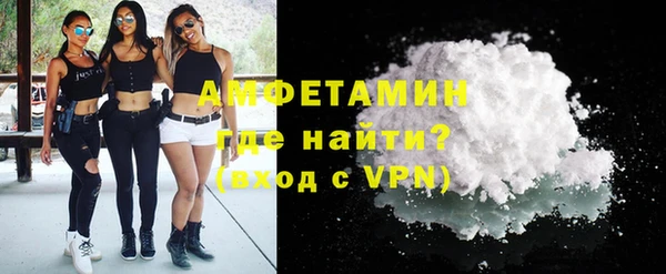 шишки Осинники